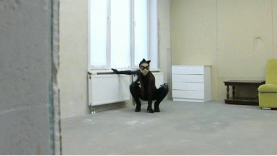 Catwoman Naomi falls into a trap POV Catwoman Naomi falls into a trap POV
